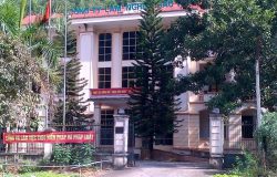 Từ bỏ “lối mòn khát việc” trong ngành Lâm nghiệp