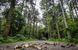 Xây dựng trường ĐH Lâm Nghiệp trở thành trung tâm khoa học ứng dụng công nghệ cao